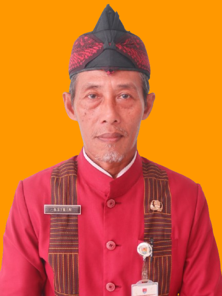 ASIBIN